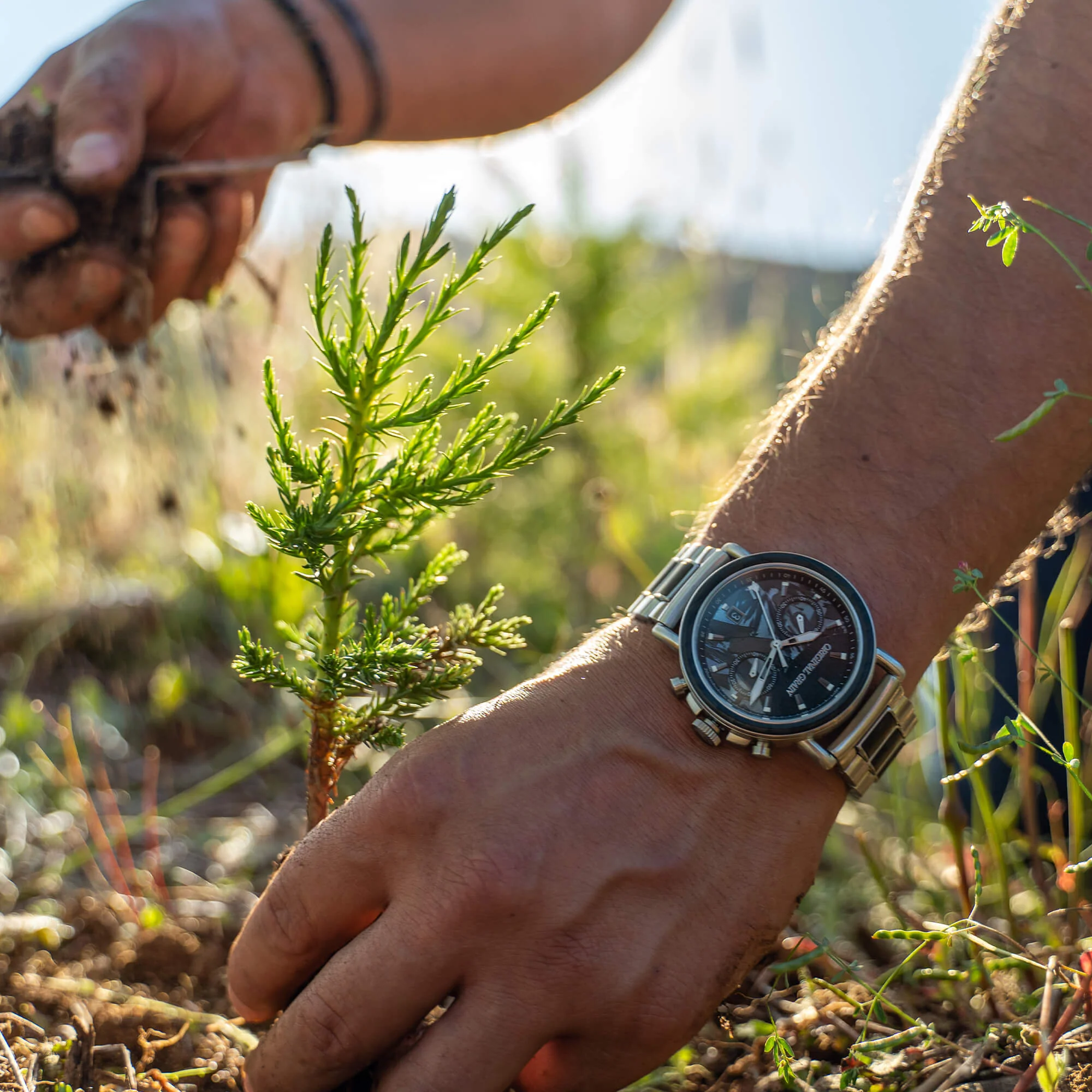 Forest Fire Chrono 44mm - Image 4
